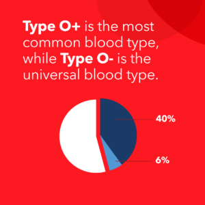 Red square that says Type O+ is hte most common blood type, while Type O- is the universal blood type.